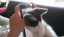 黑喵最新爆料新闻,最新爆料新闻背后的惊人真相