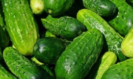 新黄瓜最新爆料图片高清,高清爆料图揭示独特魅力