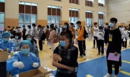 仙舟周本爆料了吗最新消息,神秘事件即将揭晓